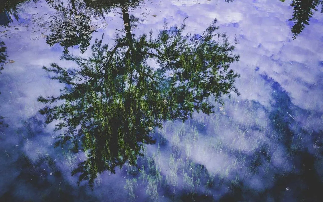 Your Yearly Review: An Opportunity, Not a Chore